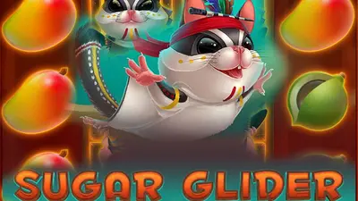 sugar glider